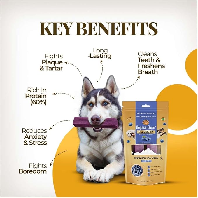 Dogsee Blueberry Flavor Himalayan Yak Cheese Dental Chews for Dogs - (Medium 6)| Dog Treats Healthy | Cleans Teeth & Freshens Breath | No Grain, No Gluten | Dog Chews Rawhide Free