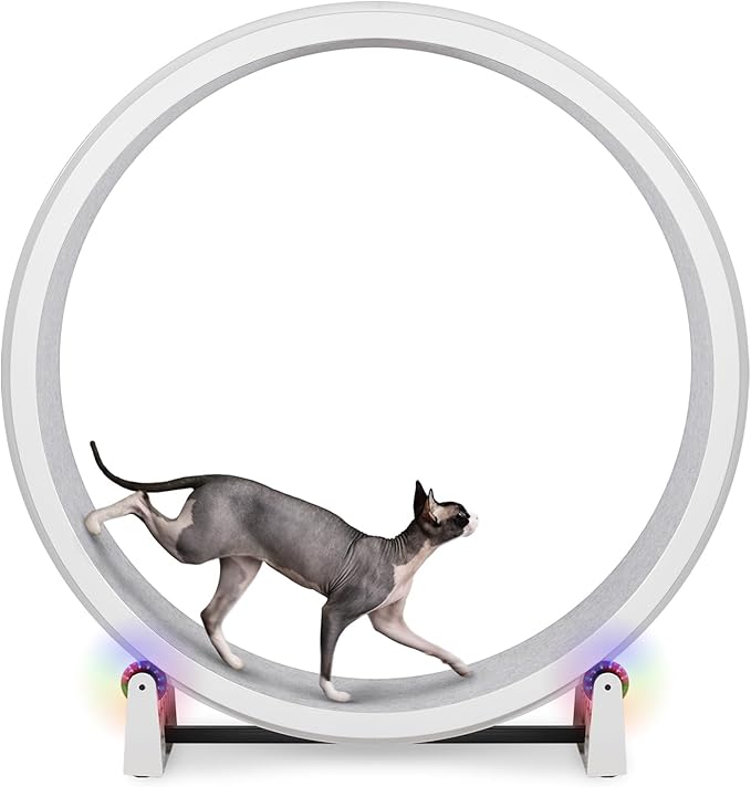 One Fast Cat - Cat Exercise Wheel - Gen. 7 - Safe 48" Diameter - Made in The USA - White Wheel with Gray Felt Traction Pads and Light-Up LED Inline Wheels