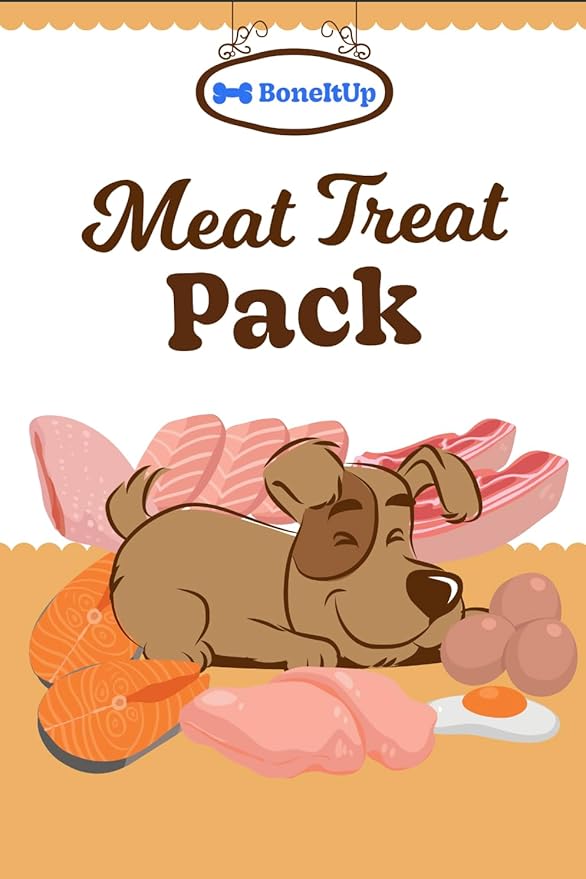 BoneItUp Meat Treat Homemade Dog Food Recipe Cards - 10 Easy Recipes for Healthy Dogs - DIY Recipe Card Pack for Homemade Dog Food - Healthy, Vet-Recommended Treat Guide