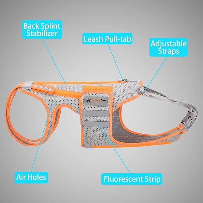 Dog Back Brace for Arthritis, Dog Hip Brace for IVDD, Frame Support Harness for Back，Keeps The Back Stable and Reduces Movements and Pains（M）