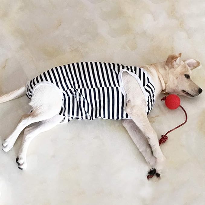 Dog’s Recovery Suit Post Surgery Shirt for Female Male Dog, E-Collar Alternative Wound Protective Clothes (Navy white-2xl)