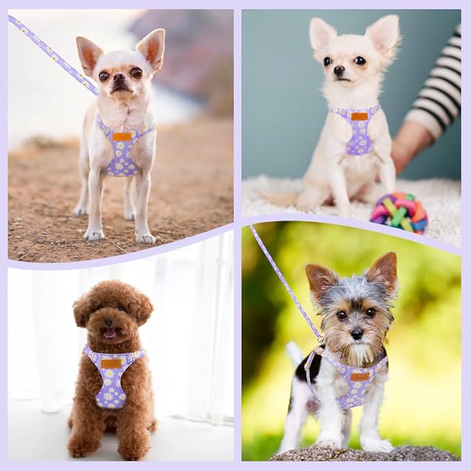 SlowTon Dog Harness Small Sized Dog - Soft XXS Dog Harness and Leash Set No Pull No Chock, Adjustable Lightweight Puppy Harness for XS Small Medium Dogs Cats (Purple Dasiy, S)