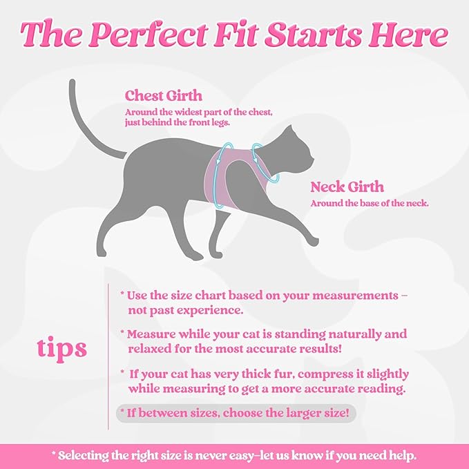 rabbitgoo Cat Harness and Leash Set for Walking Escape Proof, Adjustable Soft Kittens Vest with Reflective Strip for Cats, Comfortable Outdoor Vest, Pink, XL