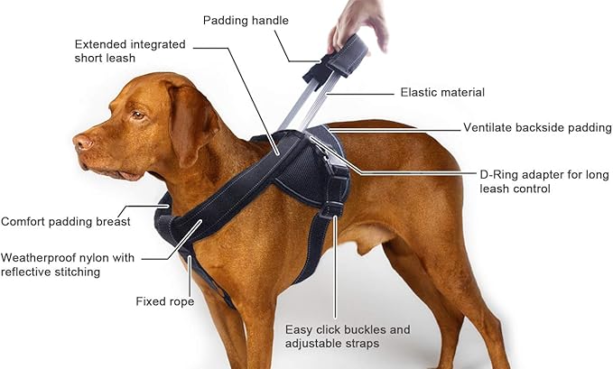 Heavy Duty Dog Harness for Large Dogs, No Pull Dog Vest Harness with Handle Extensible, Reflective Stitching (XXL)