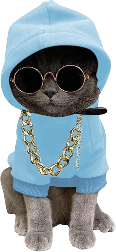 QWINEE 3Pcs Dog Hoodie Cat Apparel Dog Custume Set with Necklace and Sunglasses Pet Clothes for Puppy Small Medium Dogs Cats Light Blue X-Large