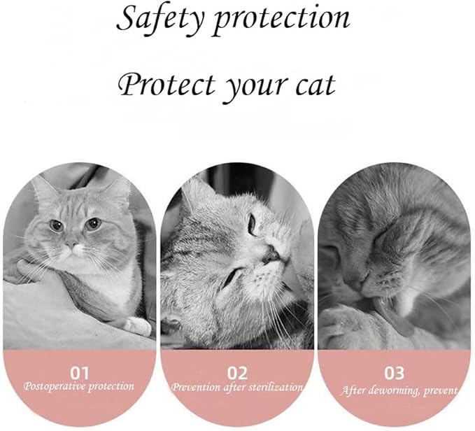 Cat Recovery Suit Female Kitten Onesie for Cats After Surgery Female Spay Surgical Abdominal Wound Skin Diseases Cone Collar Soft Alternative Wear (Cat, M)