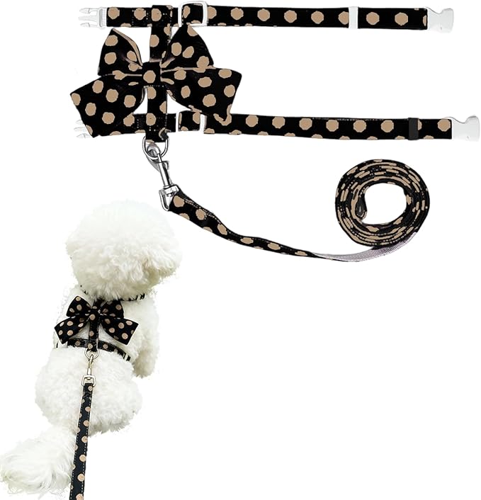 Cat Harness and Leash Set, Sweet Bow Accent Kitten Collar, Escape Proof Small Dog Harness, Cute Polka Dot Print Puppy Collar, Boy Dog Leash for Small Dogs Cats Outdoor Walking (Black, M)