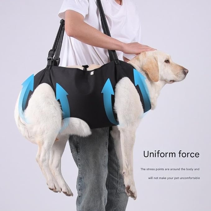 Adjustable Dog Support Harness for Senior & Disabled Pets – Lift Assist Rehab Sling with Leash Clip for Mobility, Walking & Recovery(Green,X-Large)