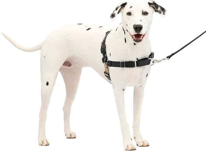 PetSafe Easy Walk Harness for Dogs - Pull-Free Walks - Patented Martingale Loop Design - Front Chest Leash Attachment - Comfort Straps - Breathable Harness Design - Medium/Large, Black/Silver
