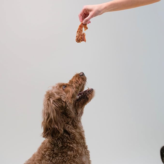 Pupford Crunchy Jerky Treats for Dogs & Puppies, Made in USA, Single Ingredient, No Fillers (Chicken, 4 oz)