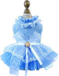 ANIAC Daisy Small Dog Dresses Female with Leash Ring,Bow Knot Girl Puppy Wedding Dress,Valentine's Cat Outfit,Fancy Pet Party Dress for Kitten Chihuahua Yorkie Pomeranian (Blue, Large)