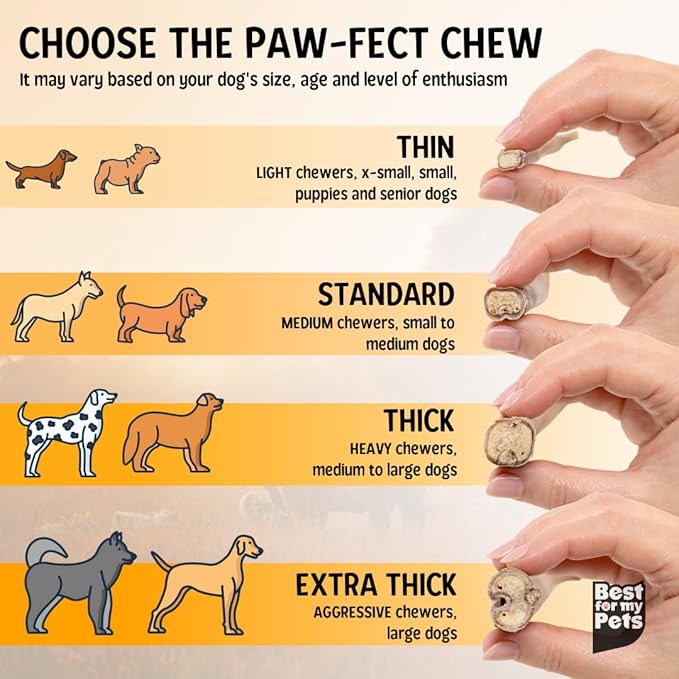 Best For My Pets 6‑Inch Odor‑Free Beef Bully Sticks, 8 oz Bag - Single‑Ingredient, Long‑Lasting Natural Dental Dog Chews, USA‑Inspected Rawhide Alternative
