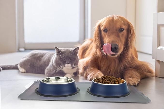 Stainless Steel Dog Bowls, Food and Water Non Slip Anti Skid Stackable Pet Puppy Dishes for Small, Medium and Large Dogs (2 Pack)