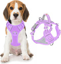 BARKBAY Dog Harness No Pull Oxford with ID Tag Pocket - Heavy Duty, Reflective, Easy Control for Large Dogs(Violet Purple Oxford,M)