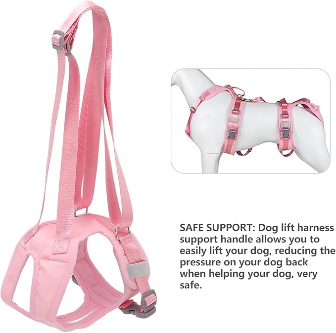 Adjustable Dog Lift Harness, Dog Hind Leg Support Sling Vest with Padded Handle for Senior Disabled Dogs, Removable Cover Mobility Aid for Car and Walk Assistance (M)