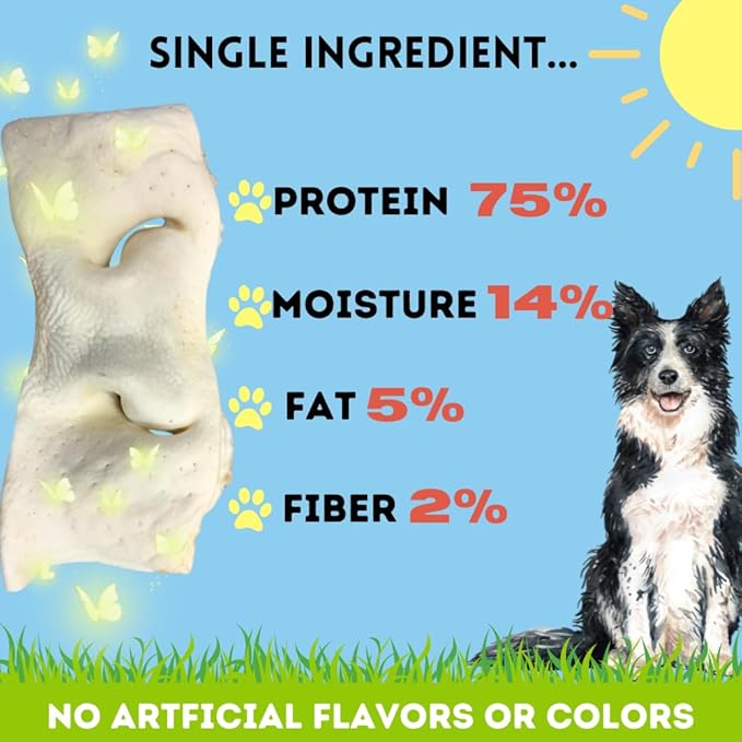 BULLYSTICKS & MORE 8-10 Inch Smoked Beef Cheek Snouts for Dogs (Extra Thick-3 Count) - Bully Snouts Dog Chews - Beef Cheek Strips -No Hide Bones for Dogs