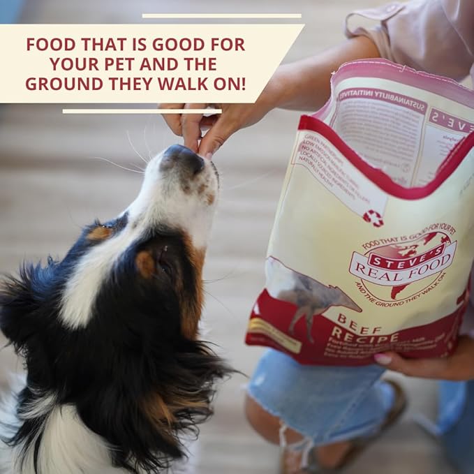 Steve's Real Food Freeze-Dried Raw Nuggets 2-Pack - Beef Recipe - Raw Pet Food for Dogs and Cats - 20 oz in Each Bag