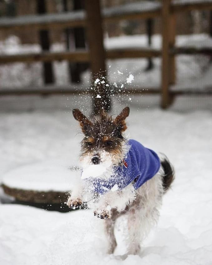 Gooby - Stretch Fleece Vest, Pullover Fleece Vest Jacket Sweater for Dogs, Violet, Large Length (13")