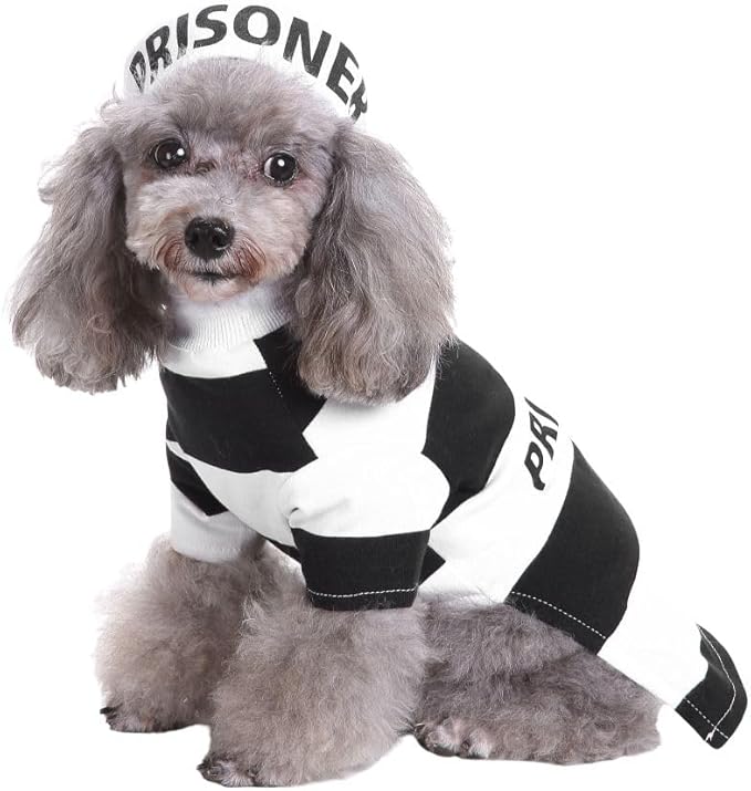 Puppy Prisoner Costume Halloween Christmas Funny Party Cosplay Clothes for Cat, Small Dog (Medium, Prisoner)