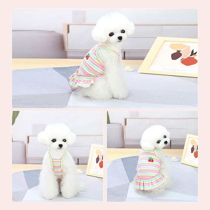 Cute Dog Dress for Small Dogs Girl Birthday Puppy Clothes Spring Summer Dog Outfits Rainbow Colorful Striped Cherry Princess Pet Tutu Skirt Doggie Cat Chihuahua Yorkies Dresses