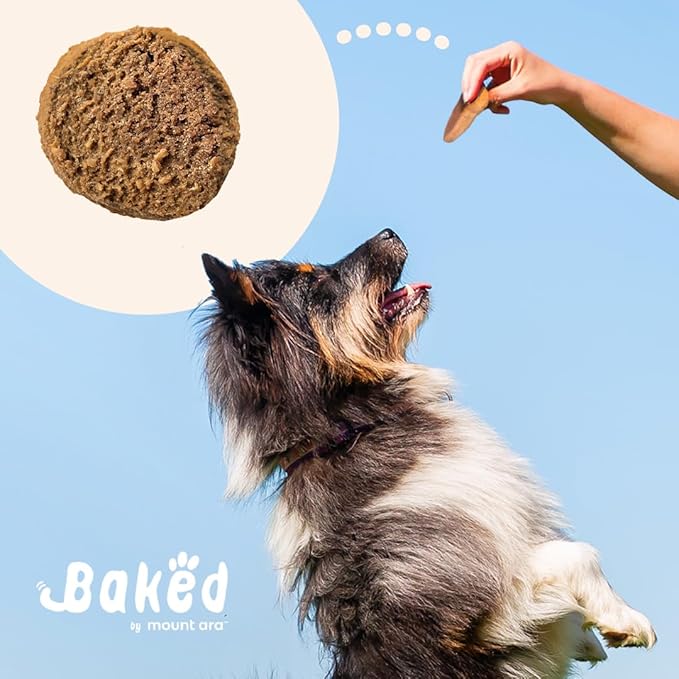 Baked Dog Treats Human Grade (Pack of 12) – Individually Wrapped Dog Treats, Blueberry, Pumpkin & Peanut Butter Cookies for Dogs 1.75 Ounce Each (12 Pack, Variety)