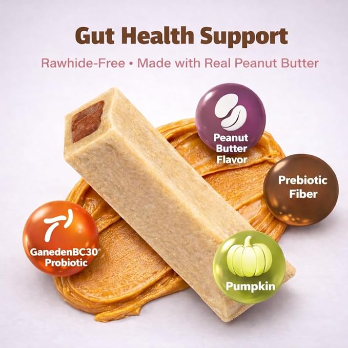 Pet Naturals BusyButter Balanced Belly Bones Medium/Large Dogs – 4 Count, Rawhide-Free Long Lasting Chews with Probiotics, Prebiotics & Pumpkin for Dog Digestive & Gut Health Support, Peanut Butter