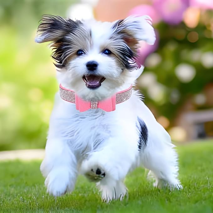Puppy Collar and Leash, Bow tie Bling Rhinestone Crystal Diamond Cat Collars for XXS Xs Small Medium Large Pet Female Dogs Girls Kitten, Pink XXSmall