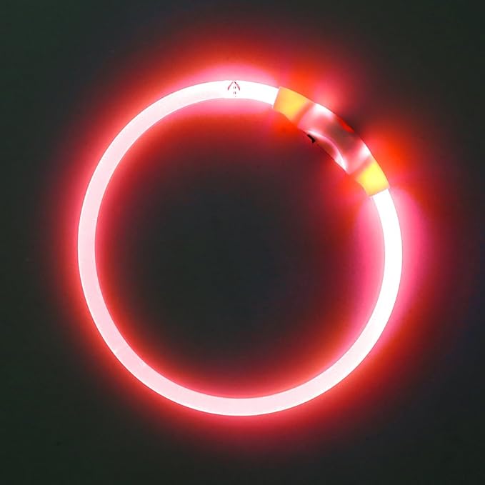 BSEEN Light Up Dog Collar - Type-C Rechargeable LED Dog Collar - 360° Glow in the Dark Pet Collar for Small Medium Large Dogs, TPU Cuttable Puppy Collar Safety Dog Lights for Night Walking (Red 70cm)
