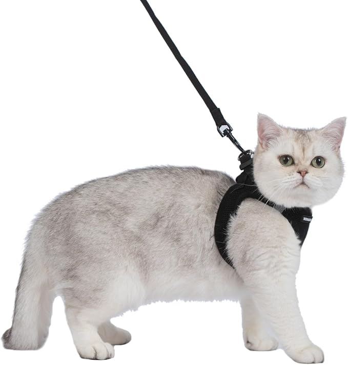 Voyager Step-in Pet Harness - All Weather Mesh, Adjustable Step in Harness for Cats and Dogs by Best Pet Supplies - 307S Black, XS