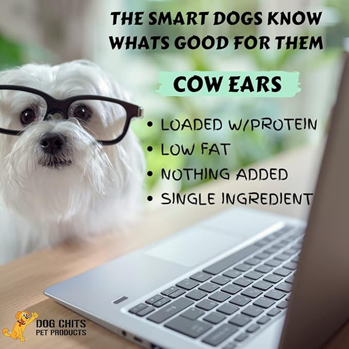 Dog Chits Cow Ears for Dogs – All Natural Cow Ear Dog Treats & Training Chews – High Protein, Low Fat – Thick Cut, Full-Sized – Dental Clean Crunch – for Medium & Large Dogs – Extra Large, 10 Pk