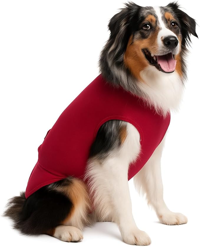 SurgiSnuggly Surgery Recovery Suit for Dogs, Female Spay or Male Neuters, A Surgical Onesie E Collar Dog Cone Alternative for After Surgery Procedures Fits Large, XL and Giant Dogs - 2XL Red EC