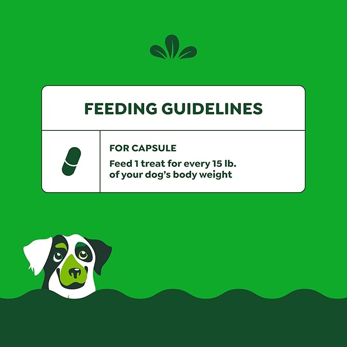 Greenies Pill Pockets for Dogs Large Size, Dog Treat Pouch for Capsule Medication, Hickory Smoke Flavor, 7.9 oz. Pouch