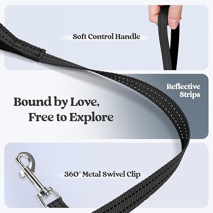 rabbitgoo Dog Harness Small Sized and Leash Set, Step in Soft Light Puppy Vest, Breathable Mesh Pet Harness, Reflective for Safe Easy Walking, Black S