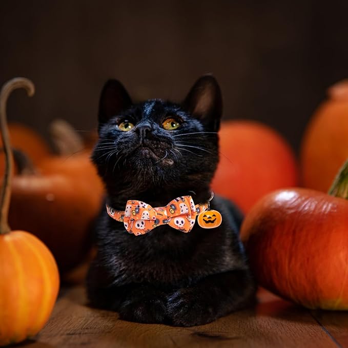 EXPAWLORER Halloween Cat Collar Breakaway with Removable Bowtie and Bandana, Adjustable Holiday Cute Kitten Collar with Pumpkin Bell, Ideal Festival Decoration Gift for Cats Puppies, 2 Pack