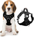 BARKBAY Dog Harness No Pull with ID Tag Pocket - Heavy Duty, Reflective, Easy Control for Large Dogs(Black,M)