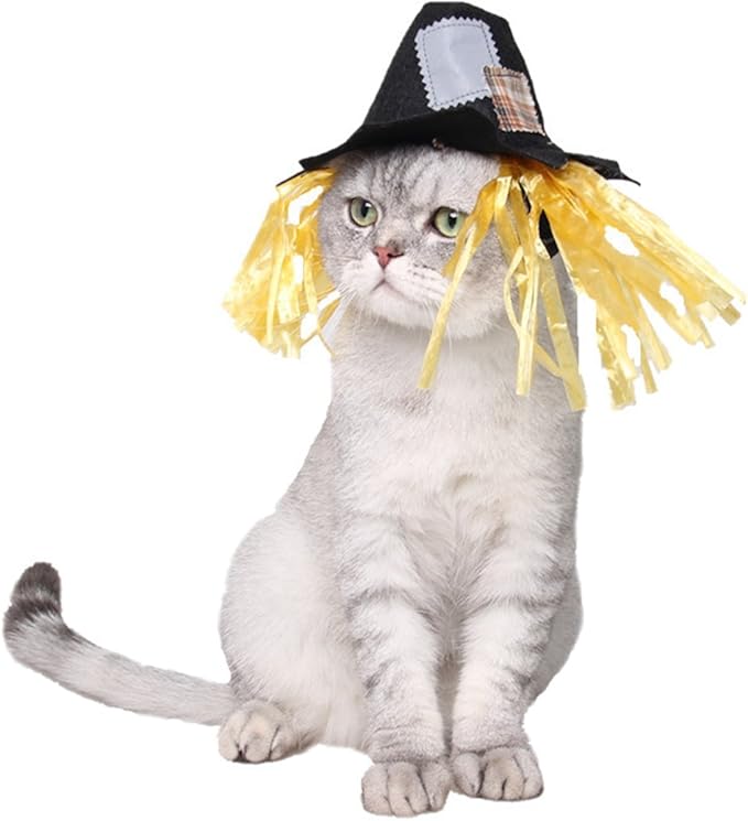 NAMSAN Halloween Cat Costume, Small Dogs Scarecrow Hat with Wig, Pet Wig Scarecrow Hat Outfit for Kitten Puppy Statue Toys Decoration, Festival Cosplay Apparel