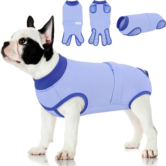 Queenmore Recovery Suit for Dogs Cone Alternative After Surgery Breathable Cotton Dog Onesie, Dog Surgery Suit Female Spay, Prevent Licking Pet Surgery Recovery Suit, Sky Blue,S