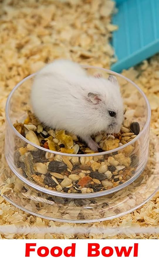 Large 5-Floors Blue Hamster Mansion Habitat Home House Cage Paw Safe Solid Platform with Hide House Running Excerise Wheel Food Bowl Water Bottle Deep Base