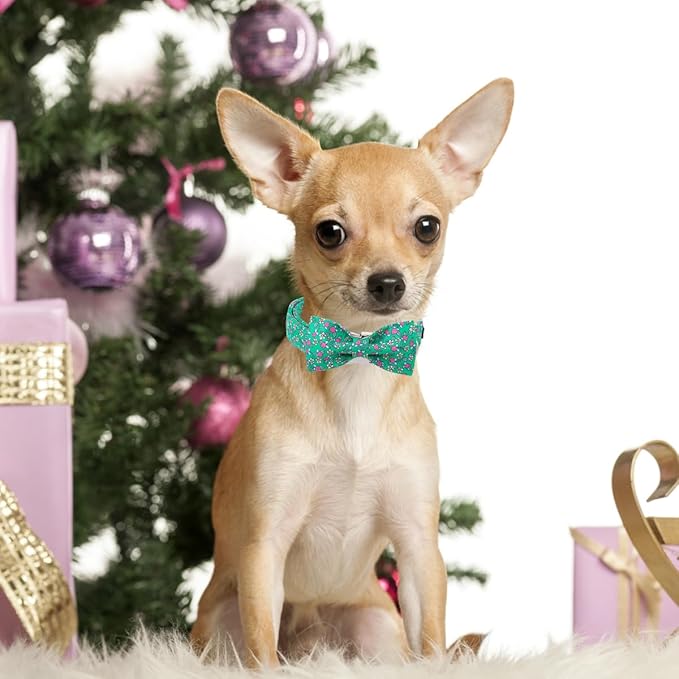 Unique style paws Cartoon Dog Collar with Bow Spring Summer Puppy Collar with Strawberry Flower for Small Medium Large Boys Girls Dogs