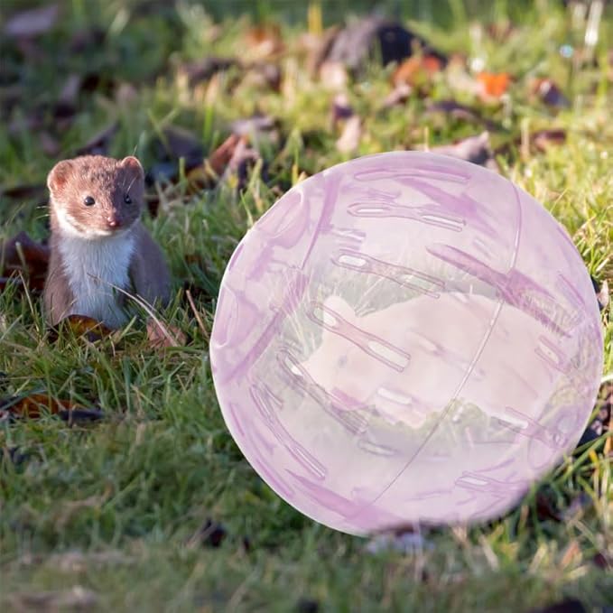 POPETPOP 2pcs Hamster Exercise, 4 Inch Hamster Running Transparent Plastic Wheel Guinea Pig Sports for Dwarf s Small Pets Supply
