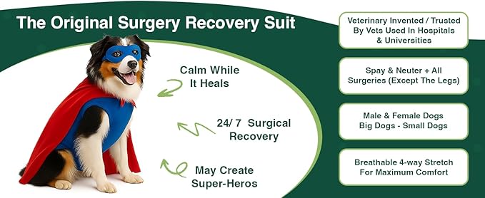SurgiSnuggly Veterinary Invented Dog Surgical Recovery Suit for Female Spay or Male Dogs Neuters,Cone Alternative, Original Dog Onesie Bodysuit for After Surgery Small, Medium, Large Dogs LG Pi EC
