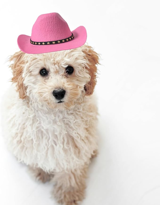 Dog and Cat Cowboy Hat With Bandana Scarf - Mini Pet Costume for Holiday, Halloween, Party Decoration (Pink, Large)