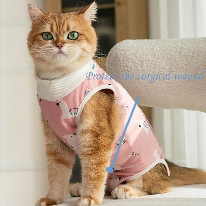 Cat Recovery Suit Female Kitten Onesie for Cats After Surgery Female Spay Surgical Abdominal Wound Skin Diseases Cone Collar Soft Alternative Wear (Alpaca, L)
