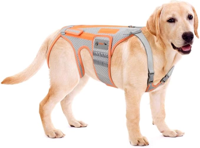 Dog Back Brace for Arthritis, Dog Hip Brace for IVDD, Frame Support Harness for Back，Keeps The Back Stable and Reduces Movements and Pains (XL)
