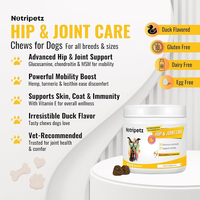 120 Soft Chews - Hip and Joint Supplement for Dogs with Glucosamine, Turmeric & Hemp Chews – Joint Pain Relief & Mobility Support – Dog Treats for All Breeds & Ages