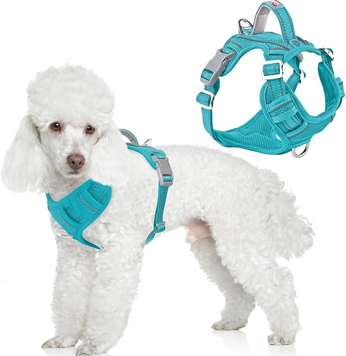 BARKBAY Dog Harness No Pull with ID Tag Pocket - Heavy Duty, Reflective, Easy Control for Large Dogs(Ocean Blue,S)