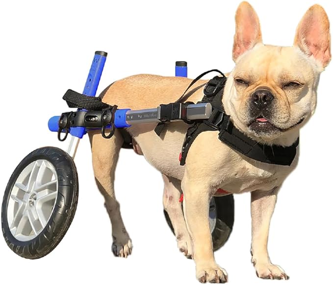 Walkin' Wheels Small Dog Wheelchair, Lightweight Dog Wheelchair for Back Legs, 15-25 lbs, for 6-8 inches Leg Height - Blue