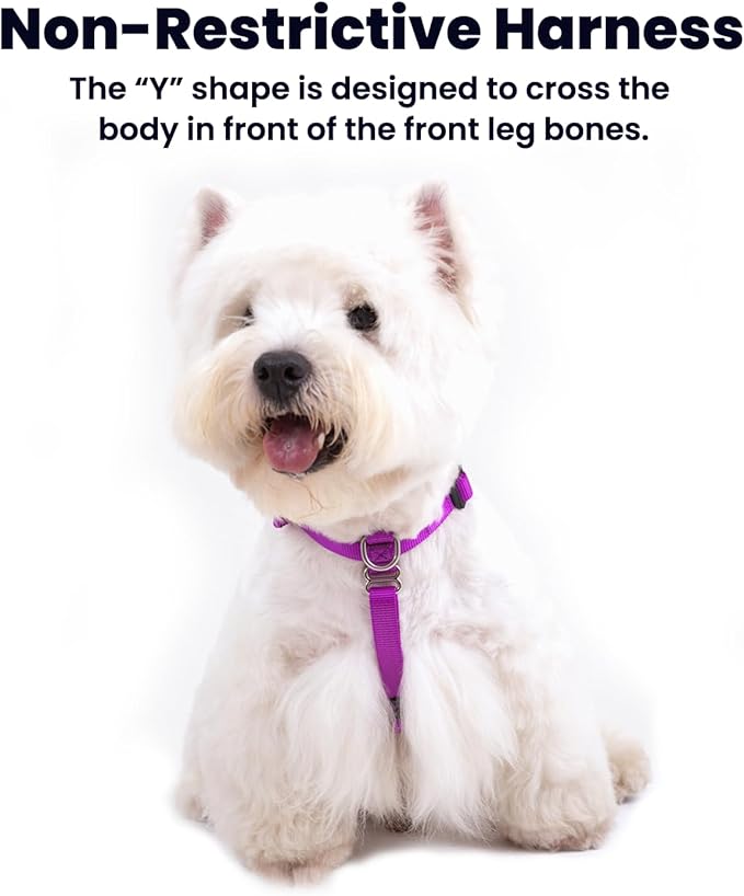 Non-Restrictive No Pull Dog Harness, Neck Buckle Design, Back Handler, Easy Walk Freedom Harness Keep Balance, Sewn-in Instructions Labels, for Large Dogs Chest(25-35 inches), Purple