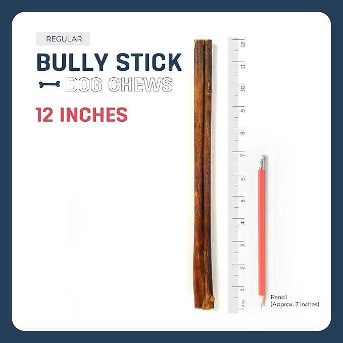 Big Lu - 12” Bully Sticks, 12 Count, Long-Lasting, 100% Grass-Fed Beef Chews for Medium and Large Dogs, Natural Single-Ingredient Fully Digestible Treats, Perfect for Aggressive Chewers