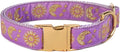waaag Pet, Moons Stars Suns Dog Collar Cat Collar, Multiple Designs Crescent Celestial Dog Cat Collar Leash Harness Medium (Pack of 1)